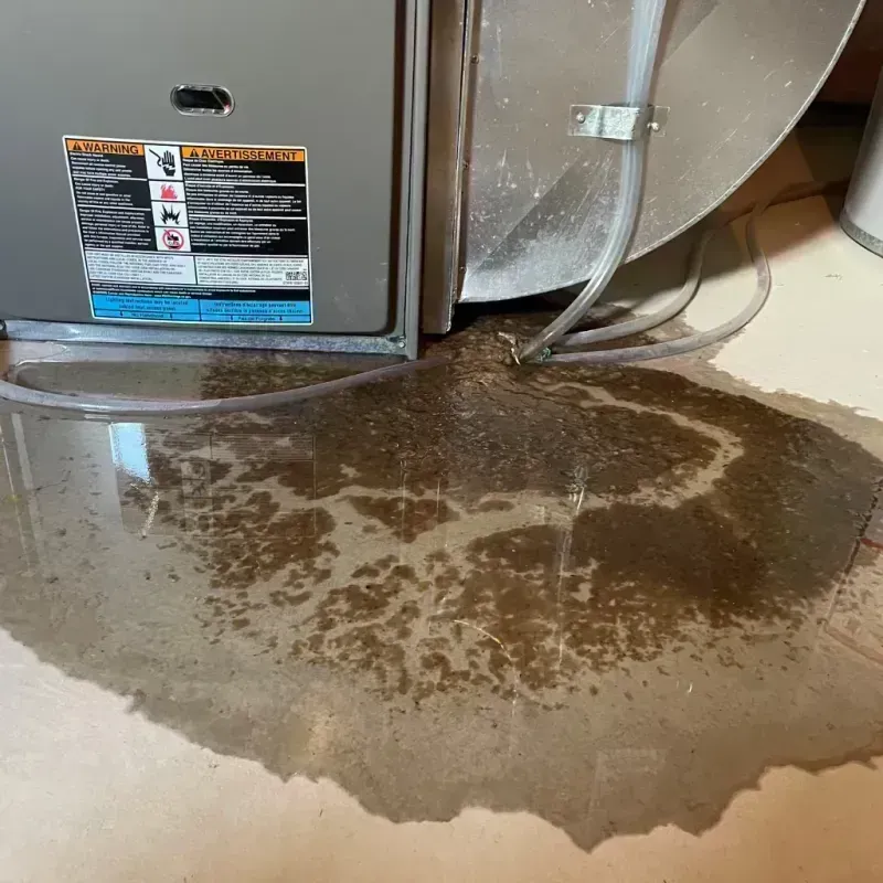 Appliance Leak Cleanup in Lee County, KY